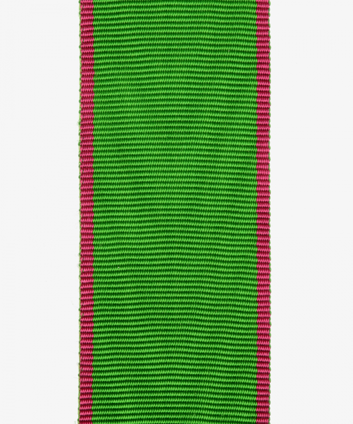 Anhalt-Dessau and Anhalt-Bernburg, merit badge for rescue out of danger (28)